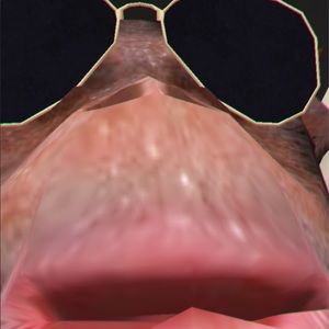 Meet your Posher, Fernando